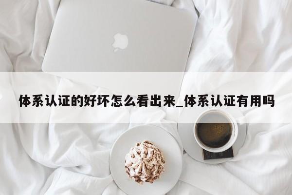 体系认证的好坏怎么看出来_体系认证有用吗
