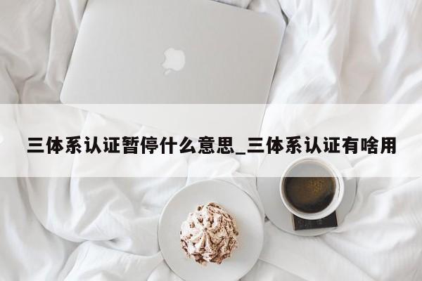 三体系认证暂停什么意思_三体系认证有啥用