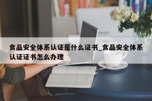食品安全体系认证是什么证书_食品安全体系认证证书怎么办理