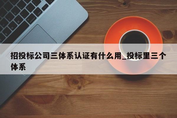 招投标公司三体系认证有什么用_投标里三个体系
